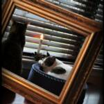 December 2 Assignment - "Reframing", using a literal frame. I like this one as well. My camera battery died just as I was starting to explore this scene!