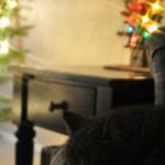 Twinkle, Nap, Twinkle ...