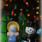 Photo Assignment 12/16/10. Bokeh (out-of-focus points of light). Snow Magic! You  know the story ...