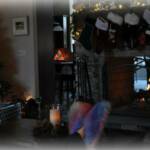 Photo Assignment 12/18/10: Recharge. The calm before the storm ... Recharging in front of the fire this morning in my favorite slippers from Carter, before the hectic last Saturday before Christmas begins! Caught a kitten in the corner! 