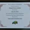 Papa's School of Driving Certificate of Completion!