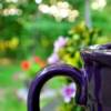 Photo Assignment: Bliss. Tea on the back porch this morning in my favorite purple mug, summer flowers blooming, and early morning sunlight bokeh coming through the trees ... it just doesn't get much better than that. Life is good.