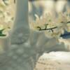 Photo Assignment: White on White. Grams' milk glass basket and Rose's back porch this morning. A beautiful combination!
