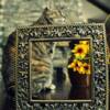 Photo Assignment: Heavy Metal ... used a 'heavy metal' frame!